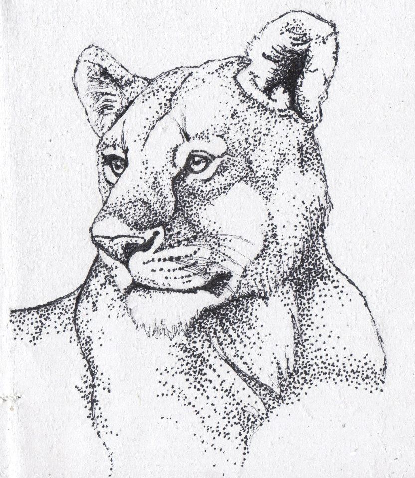 Pointillism Lion by MinakoWolf37 on DeviantArt