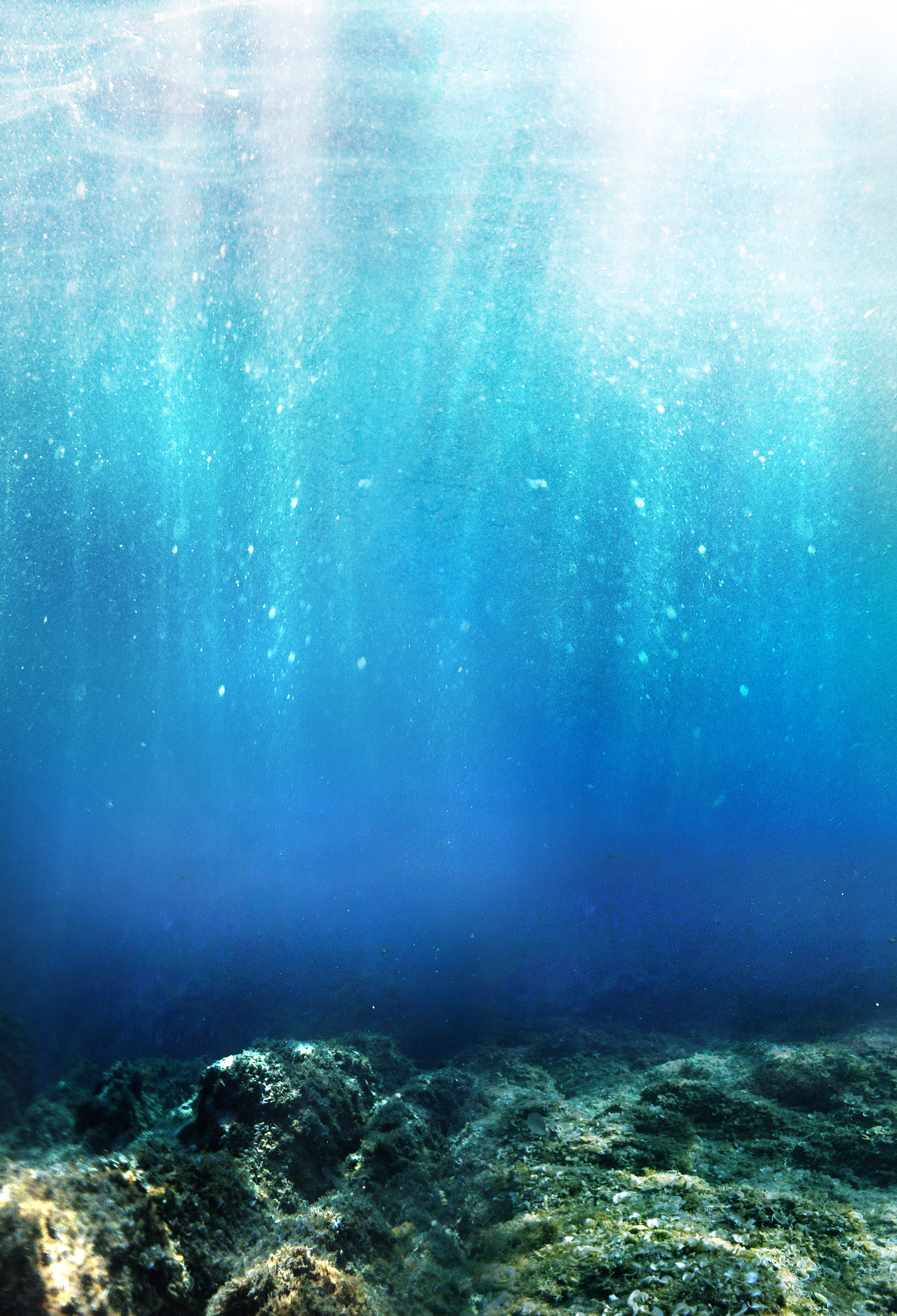 Underwater Stock Premade Background By YaensArt On DeviantArt