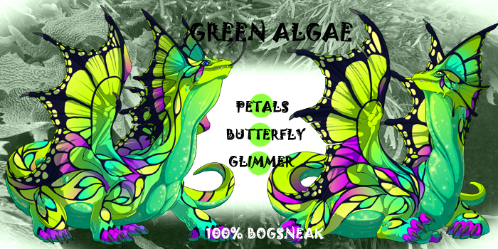 green_algae_by_runewitch31137-dbhuqnb.png