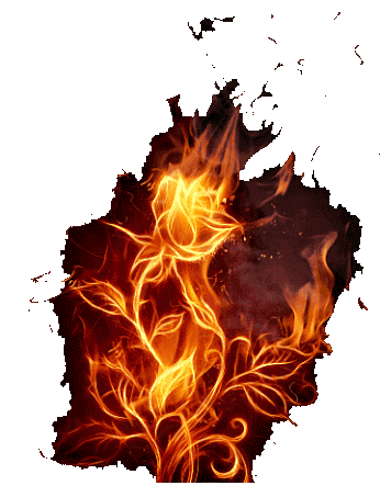 Demencia Zafiro Burning_rose_gif_4project_by_phaxan-dbphse8