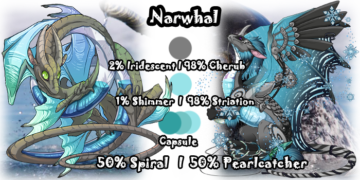 narwhal_by_runewitch31137-dbugfet.png