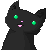 Derp as a cat (icon)