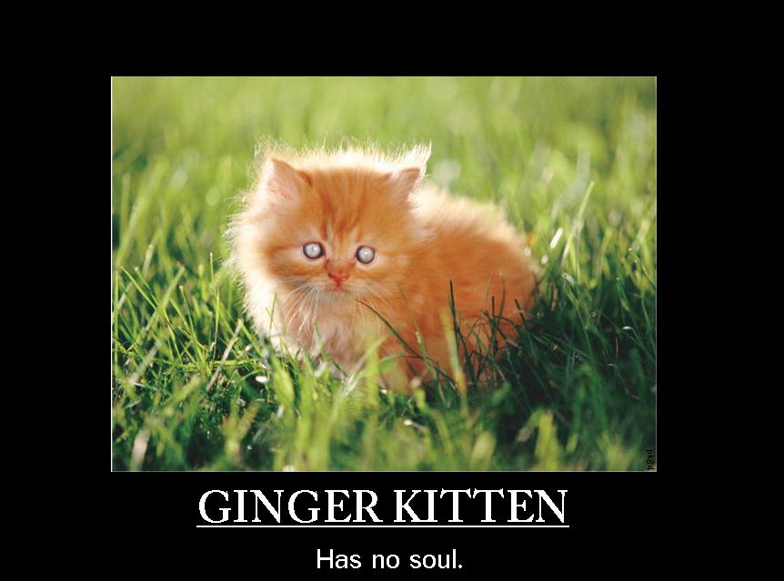 [Image: ginger_kittens_have_no_soul_by_grimlockfett.jpg]