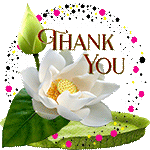 Thank you by KmyGraphic