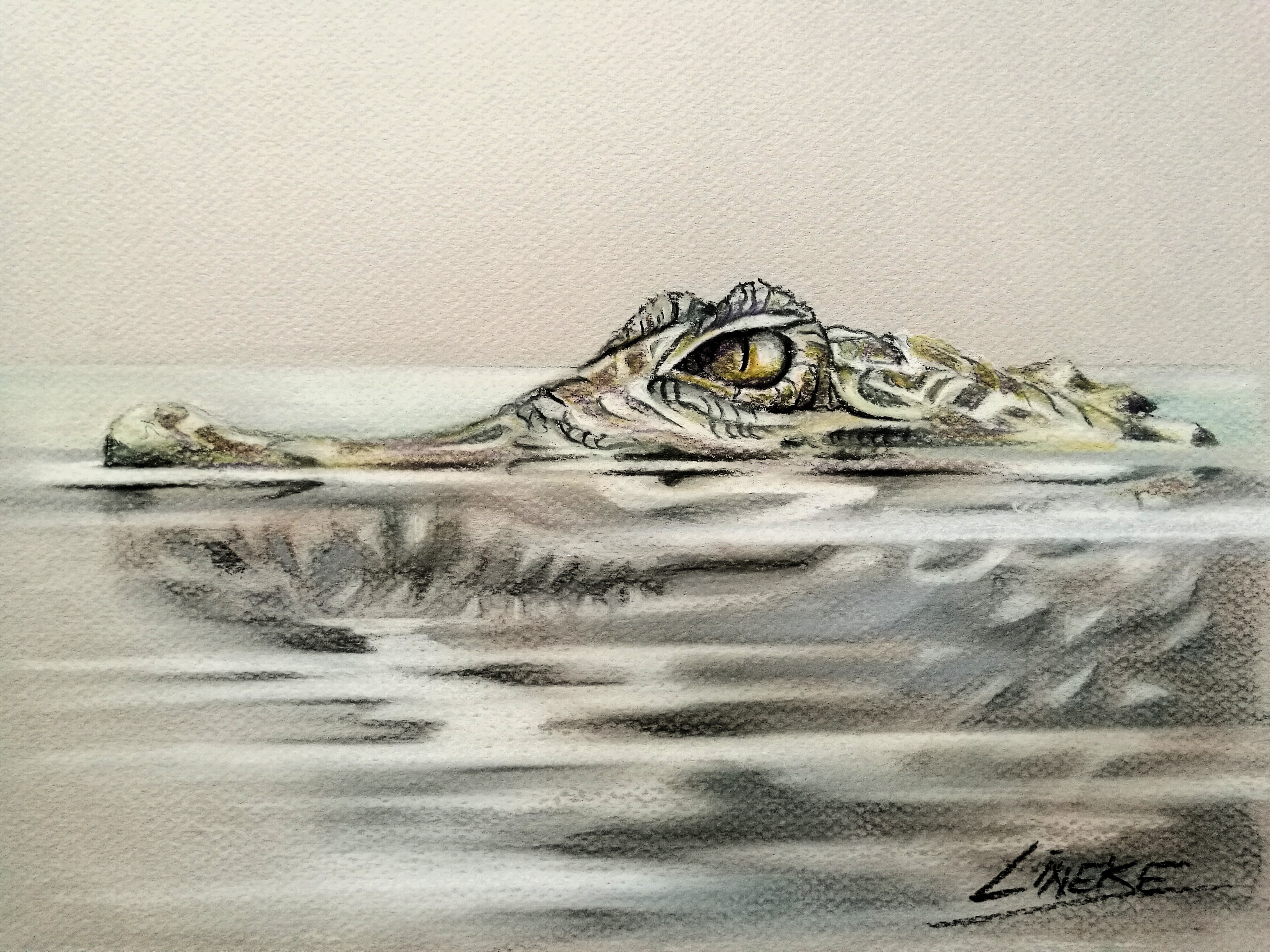 crocodile in pastel pencil free download by LinekeLijn on DeviantArt
