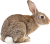 Rabbit Icon.6