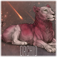 orchid_by_usbeon-dbumxex.png