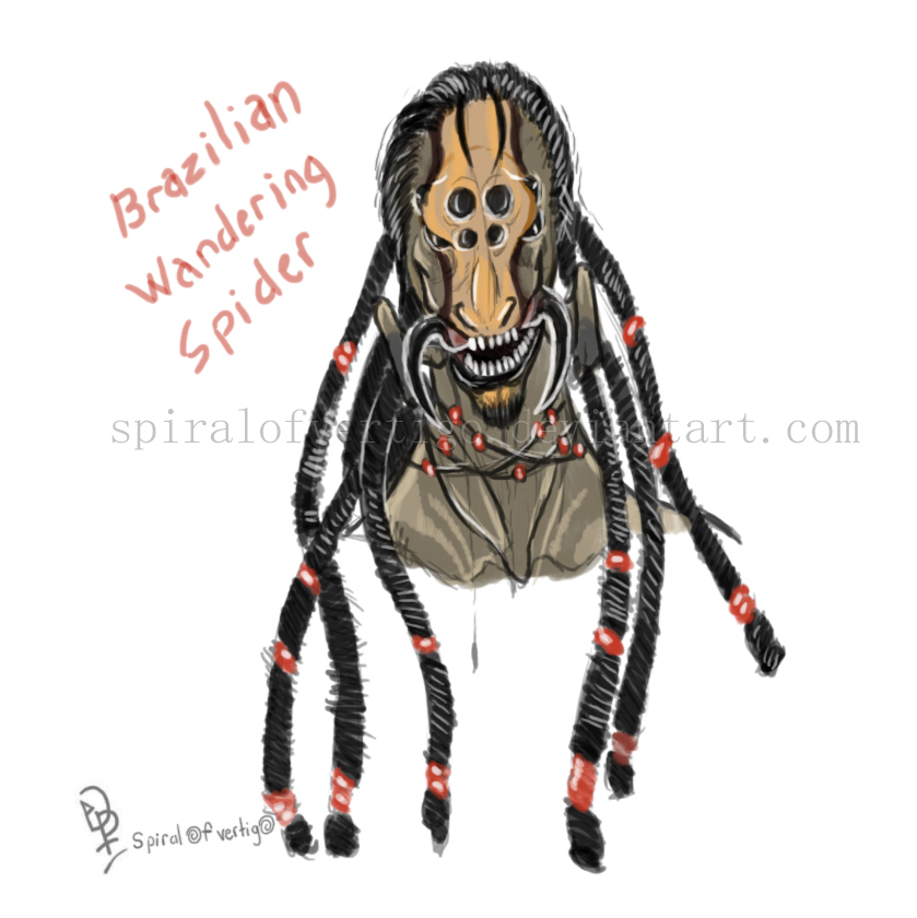 brazilian wandering spider drawing