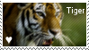 tiger_stamp_by_muddyputty-d3z6py7.png