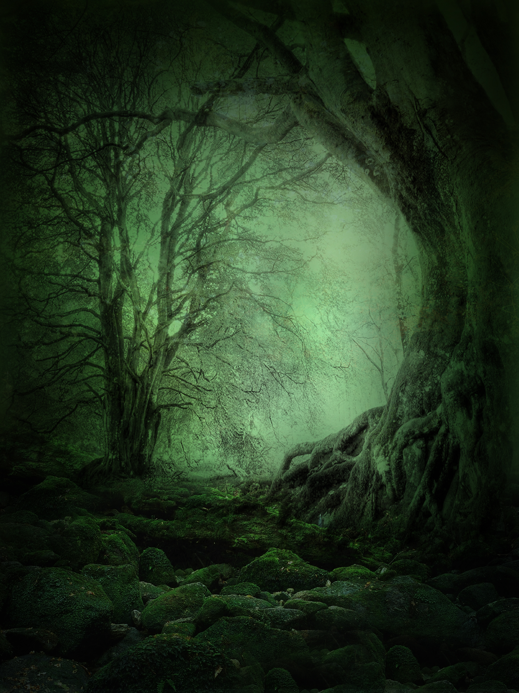 UNRESTRICTED - Mystery Woods Background 03 by frozenstocks on DeviantArt