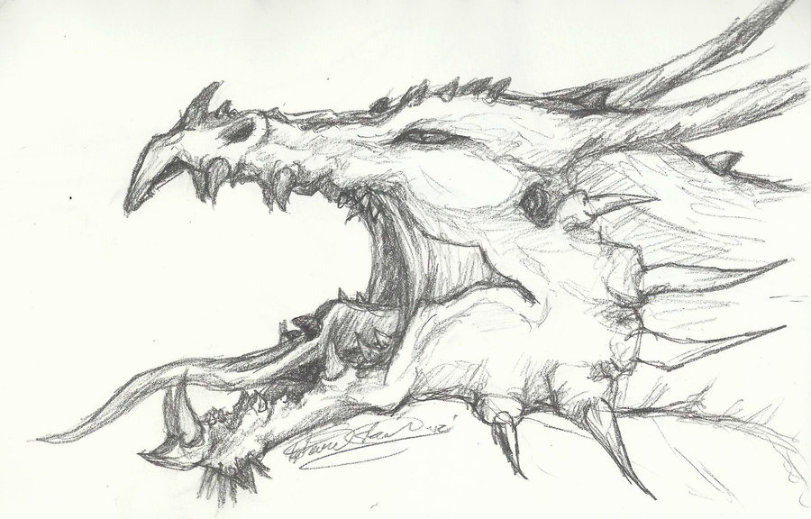 Dragon head drawing ideas