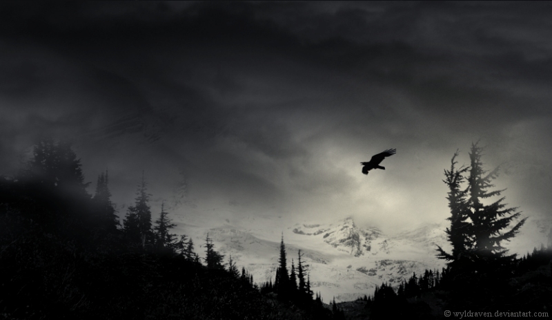 Storm Shadow by wyldraven on DeviantArt