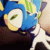 Sonic Riders Emoticon