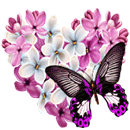 Love of Butterfly by KmyGraphic