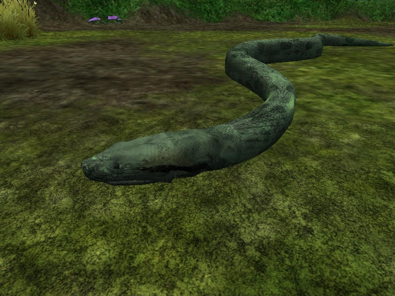 Biggest snake in the Amazon! by JPfan101 on DeviantArt