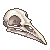 Bird skull facing right by Asralore