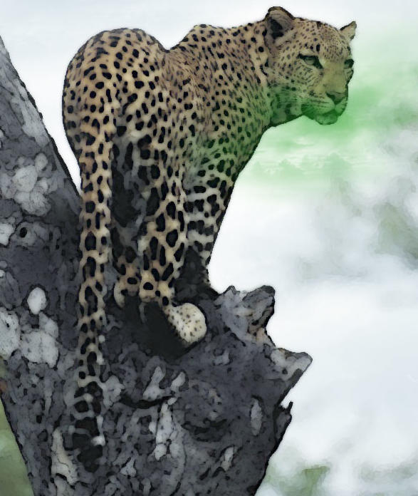 Nundu con anatomía idéntica a la de un Leopardo, por Hanazuke