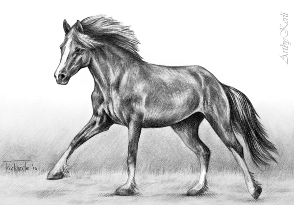 Running horse by ArtbyKerli on DeviantArt