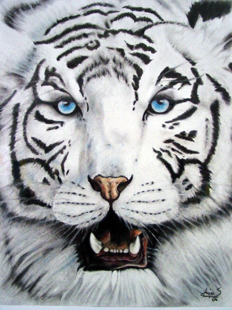 white tiger by anjasp3 on DeviantArt