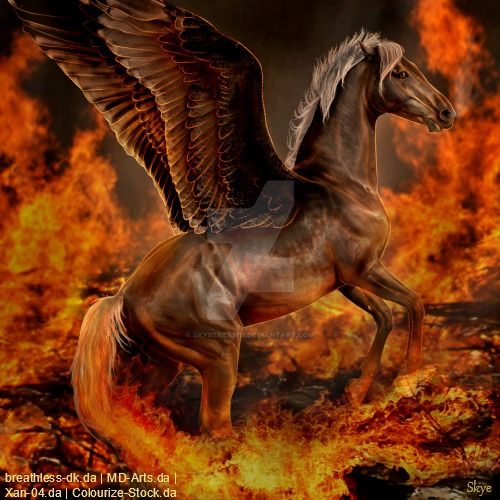 HEE || Horse Avatar | Dimmy's Phoenix by skystream11 on DeviantArt