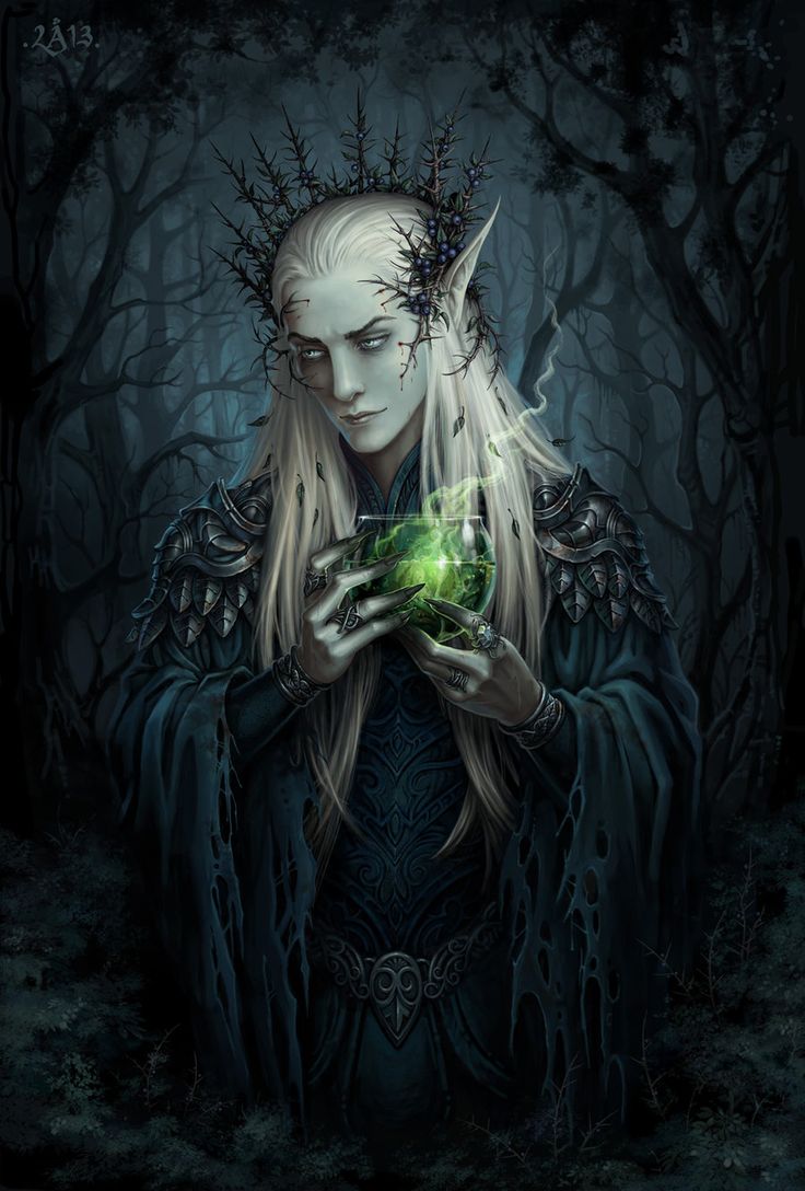 dark_elf__thranduil_lotr_the_hobbit___no