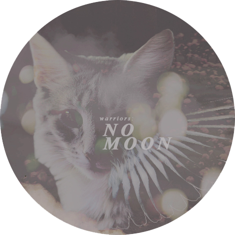 No Moon (Jcink) Nomoonv4ad_by_rosmry-dc57o4h