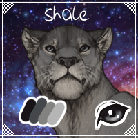 shale_by_usbeon-dbu1tnl.png
