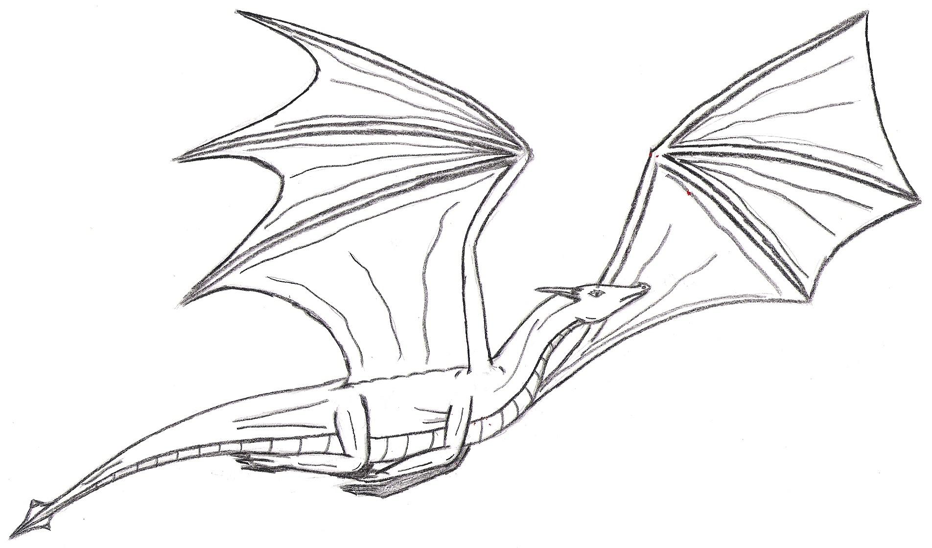 Flying DragonOutline by Denodon on DeviantArt