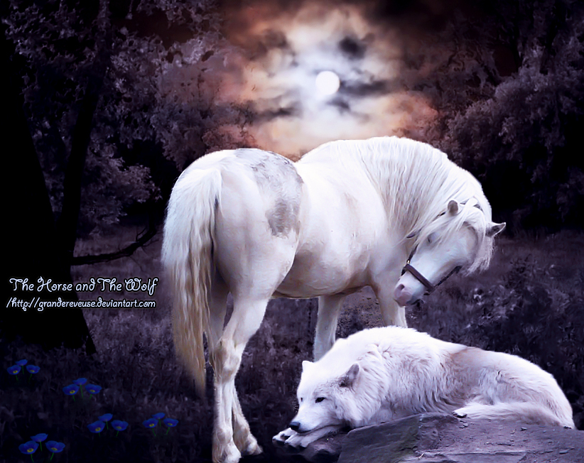 The Horse and The Wolf by GrandeReveuse on DeviantArt
