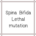 spina_bifida_by_usbeon-dbo3hns.png