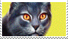 warriors_stamp_by_goldencloud-d1v3d38.gif