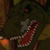 The Land Before Time 6 - Meanest Sharptooth Icon