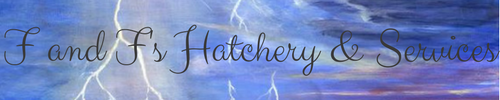f_and_f_s_hatchery_services_banner_by_ilightrune-dc7phlj.png