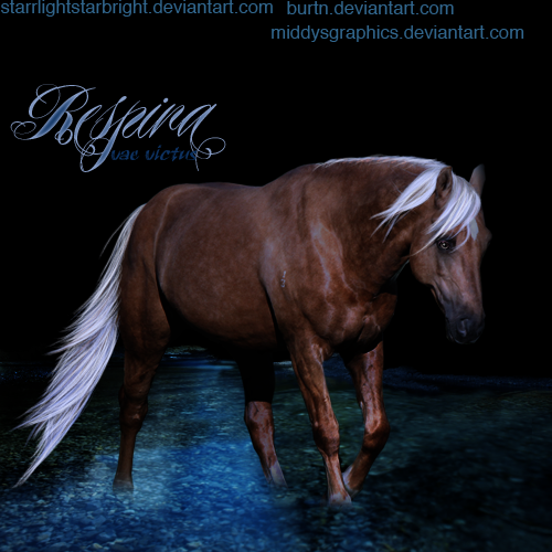 respira__by_middysgraphics-d55tz0t.png