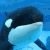Orca ~ Yes!