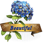 Beautiful Blue Hydrangea by KmyGraphic
