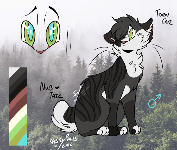 . Quailfrost . Medicine Cat of Riverclan . New_canvasfbwvert_by_kaseypaws-dbs5y04