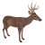 Deer icon.2