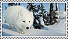 arctic_fox_stamp_ii_by_shay_lunakinesis-