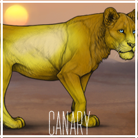 canary_by_usbeon-dbumxbn.png