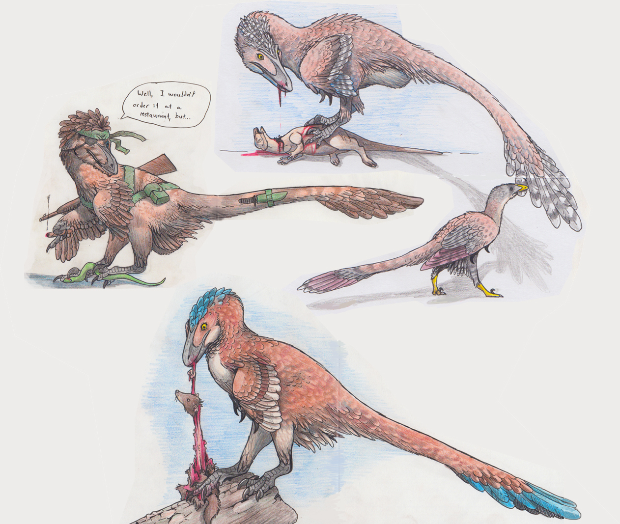 Three Dromaeosaur RPR Doodles by EWilloughby on DeviantArt