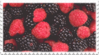 الغرفة الثانية Mixed_berries_stamp_by_glaciervapour-dbd13ts