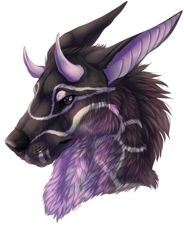 headshot1_by_xilacs-dclyvik.png