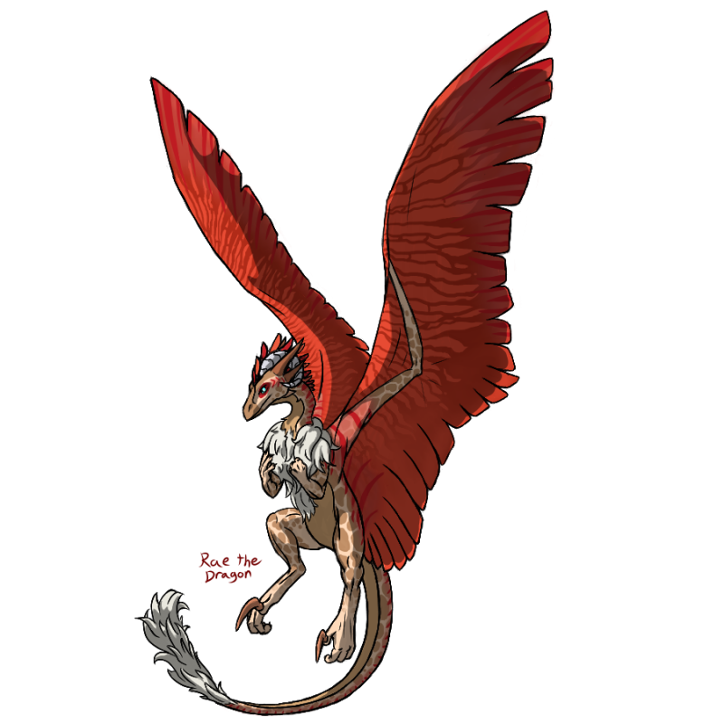 aria_the_wildclaw_by_rae_the_dragon-dc5erph.png
