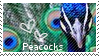peacock_stamp_by_muddyputty-d3z4vdf.png