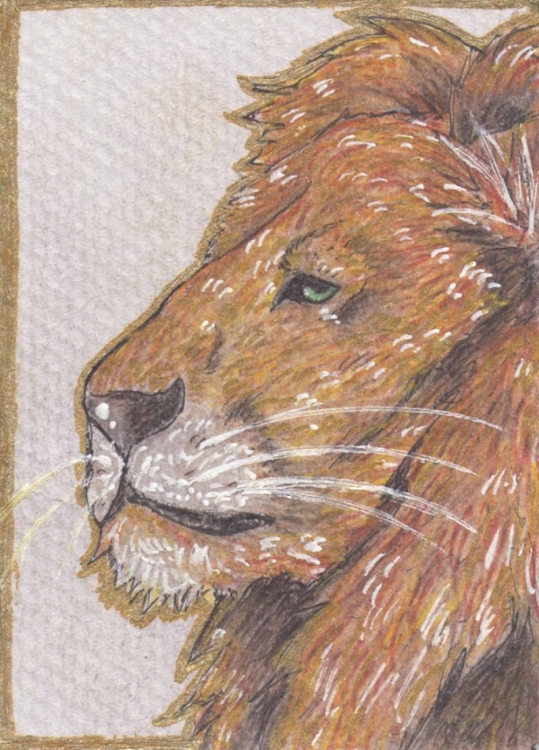 Lion by Luffy-x-Ryusaki