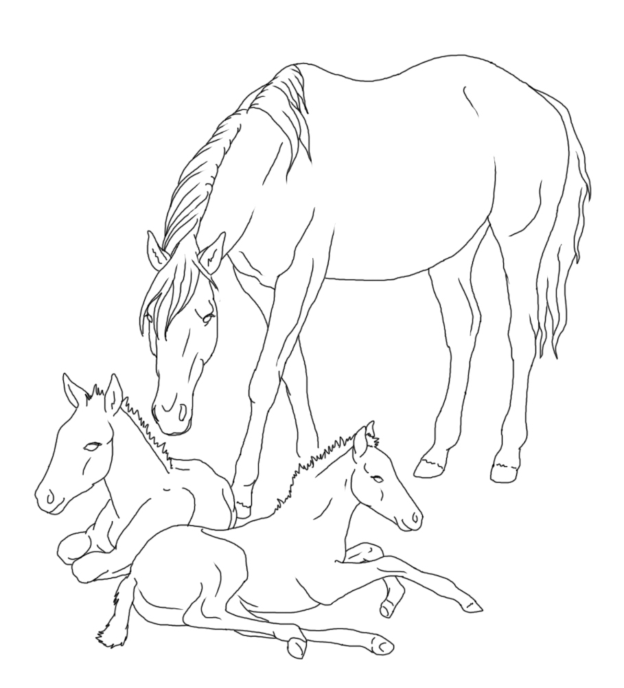 mare with twin foals lineartrainbowfountains on deviantart