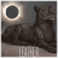 leather_by_usbeon-dbumwee.png