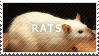 rat_love_by_maliciouses-d6mh58z.gif
