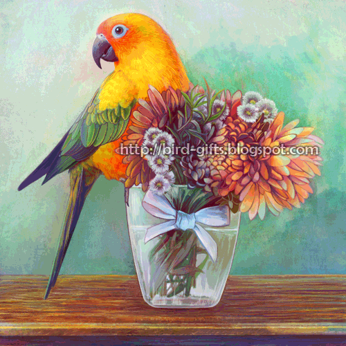 Sun conure and flowers poster